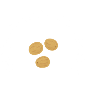 The Mustard Seed Market